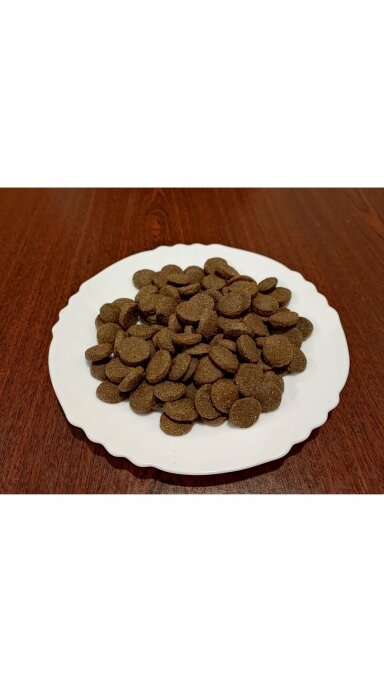 Family Dog Standart Adult visavertis pašaras suaugusiems visų veislių šunims su jautiena Family Dog Standart Adult visavertis pašaras suaugusiems visų veislių šunims su jautiena