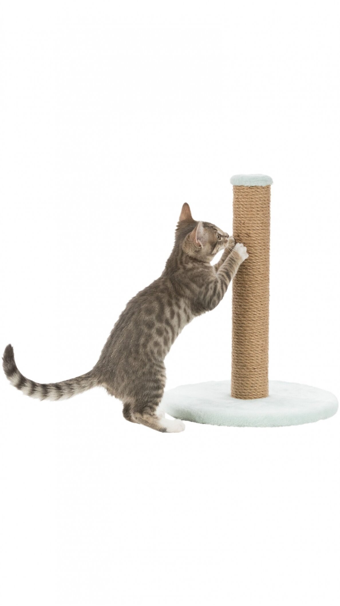 TRIXIE Junior draskyklė/ stulpas,42cm 3 TRIXIE Junior draskyklė/ stulpas,42cm 3
