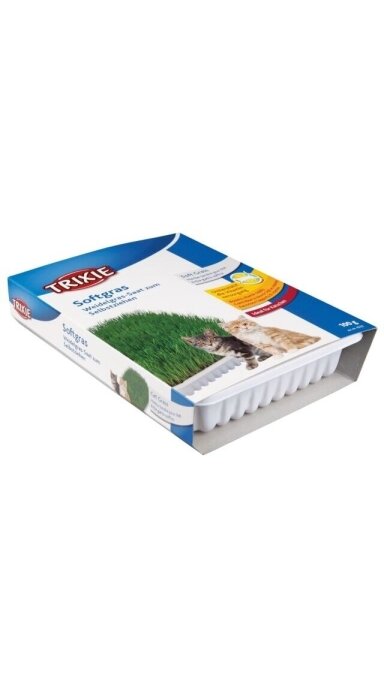 TRIXIE Minkšta žolė, dubenėlyje, 100 g TRIXIE Minkšta žolė, dubenėlyje, 100 g