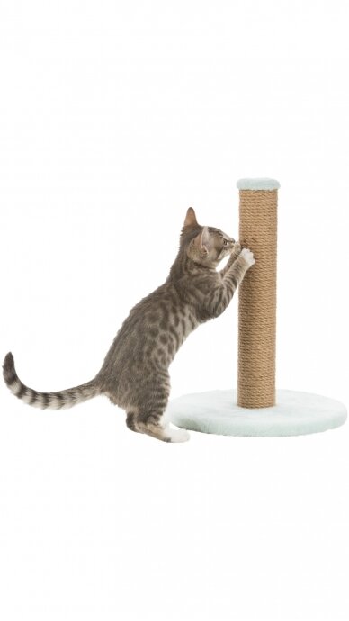 TRIXIE Junior draskyklė/ stulpas,42cm 3 TRIXIE Junior draskyklė/ stulpas,42cm 3
