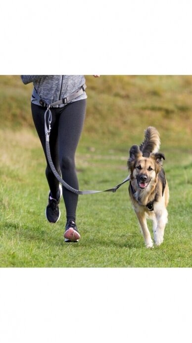TRIXIE Juosmens diržas su pavadėliu 1