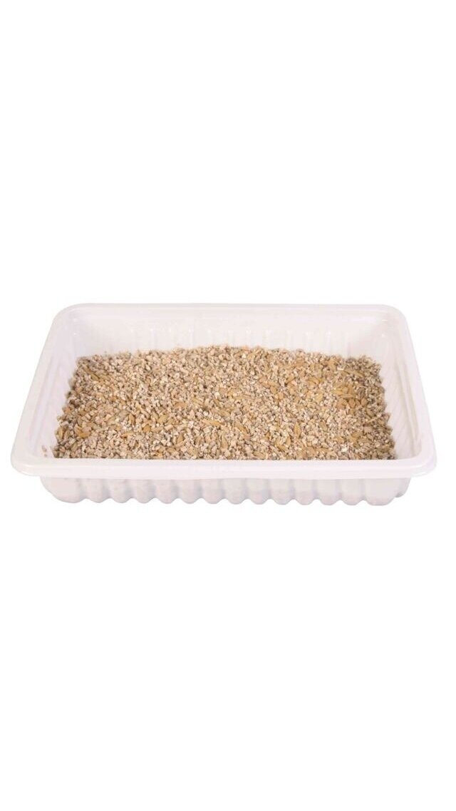 TRIXIE Minkšta žolė, dubenėlyje, 100 g 1 TRIXIE Minkšta žolė, dubenėlyje, 100 g 1