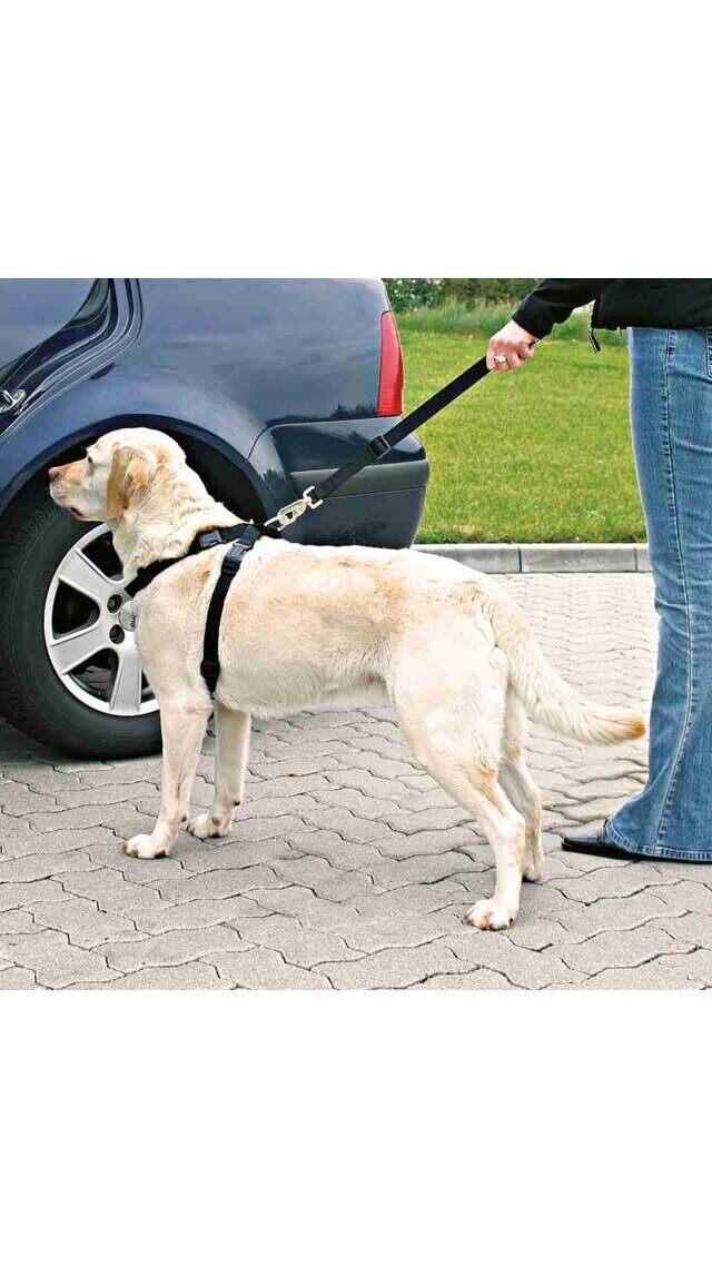 TRIXIE Petnešos automobiliui + saugos diržas 1 TRIXIE Petnešos automobiliui + saugos diržas 1