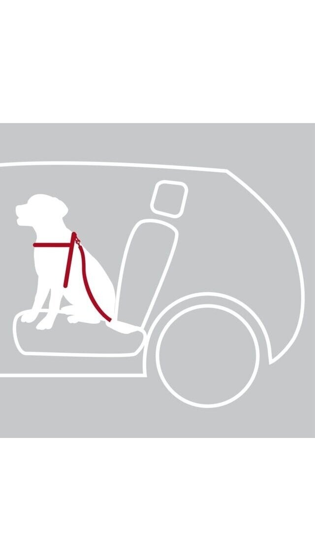 TRIXIE Petnešos automobiliui + saugos diržas 6