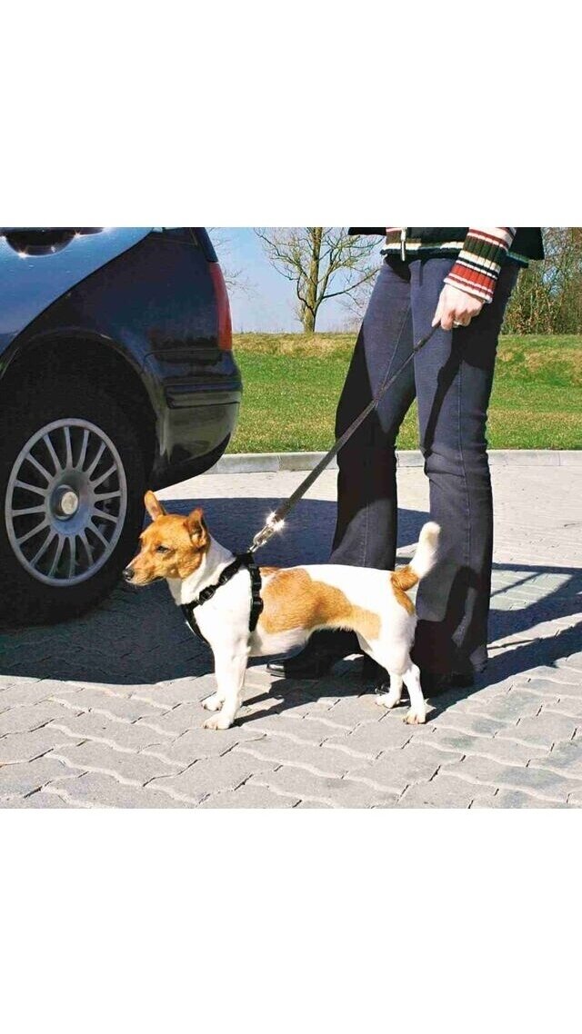 TRIXIE Petnešos automobiliui + saugos diržas TRIXIE Petnešos automobiliui + saugos diržas